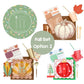Fall Set 2026: Fall Option